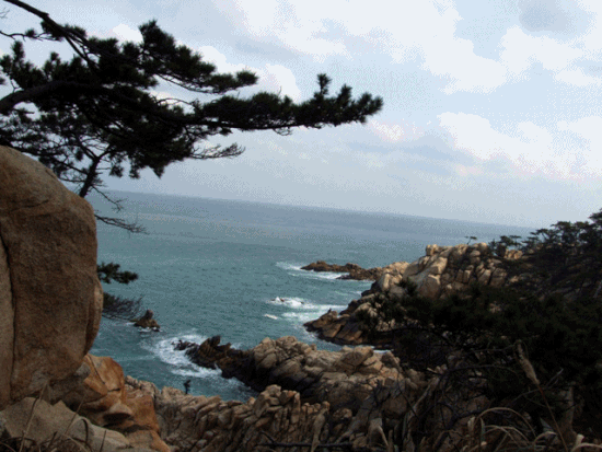 폭포(동)6.gif
