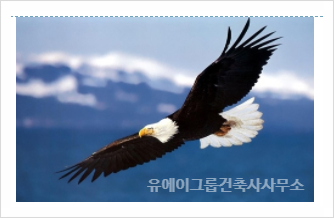 건축사사무소테마공간 이미지