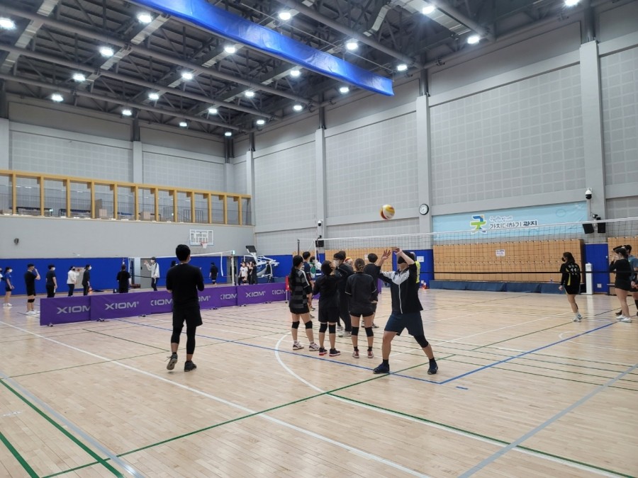 배구레슨전문LHJ컴퍼니 이미지