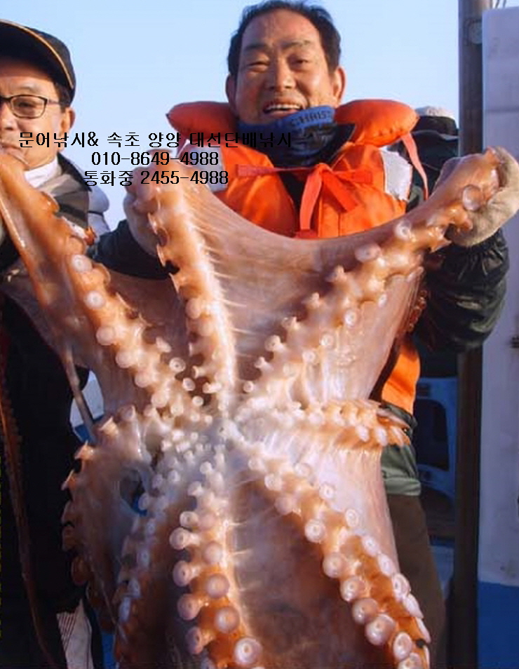 서진낚시 이미지