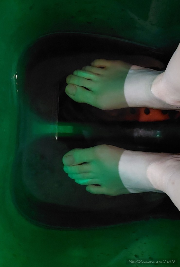 24시페파민트 이미지