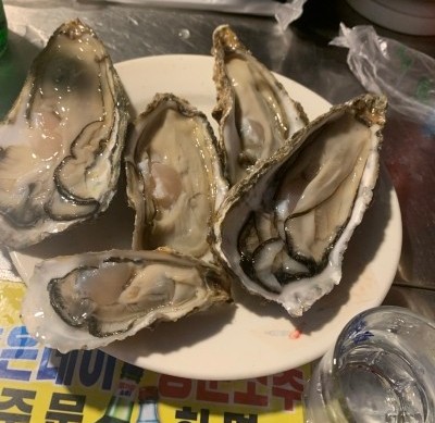 고향포차 이미지