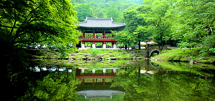 송산고광선 이미지