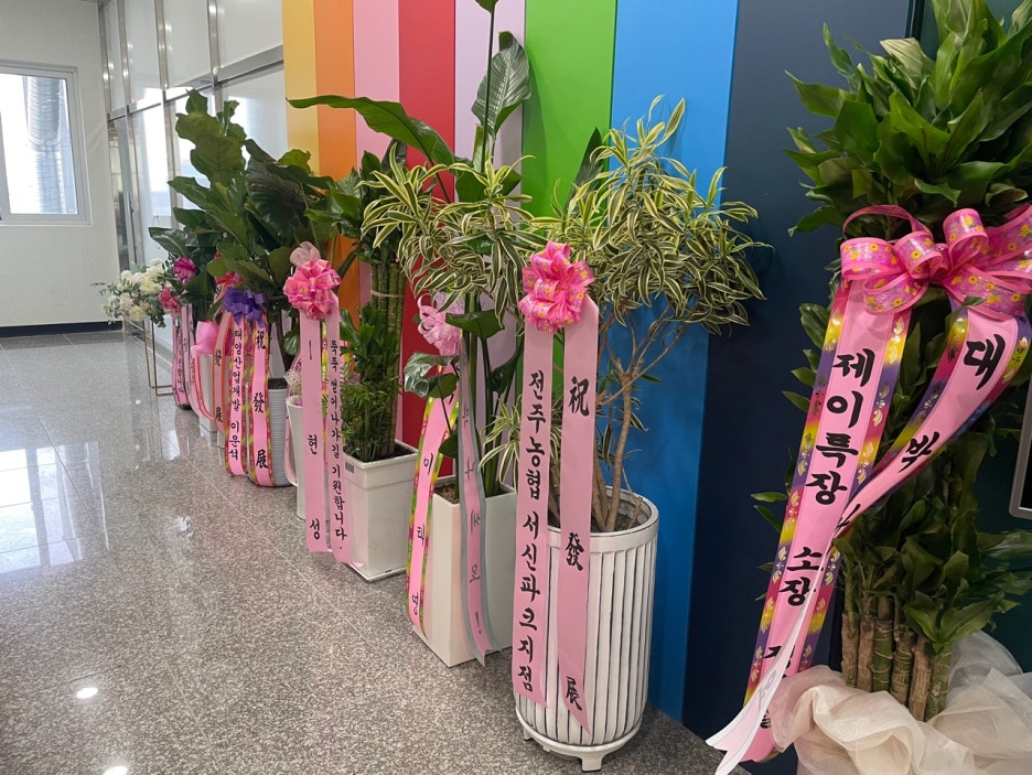 빌라레 이미지