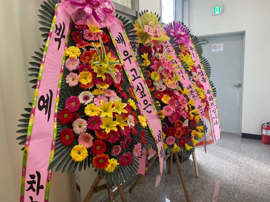 빌라레 이미지
