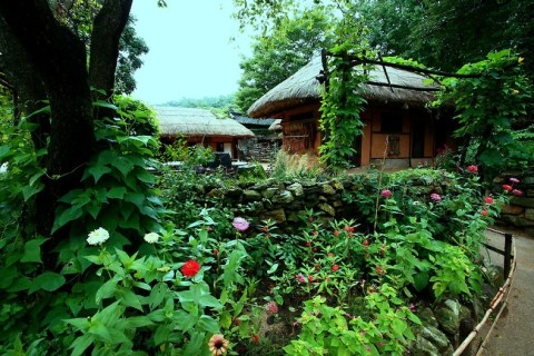 시골풍경-4.JPG