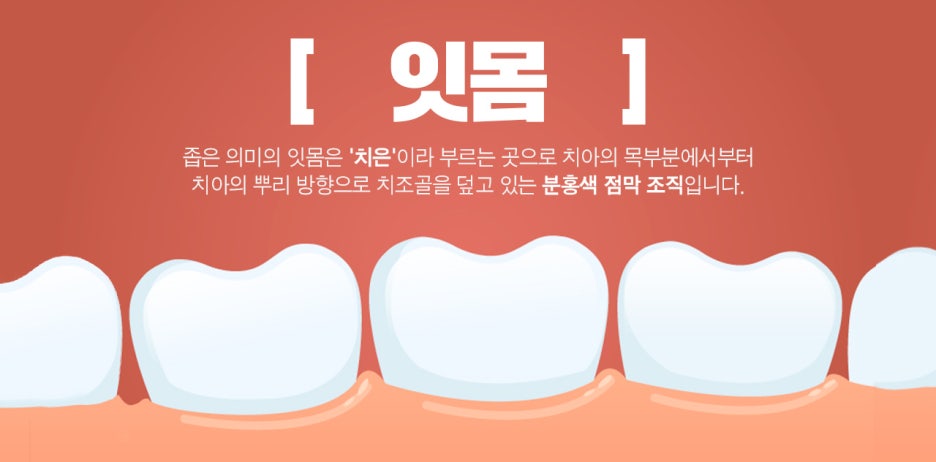 조은미소치과의원 이미지