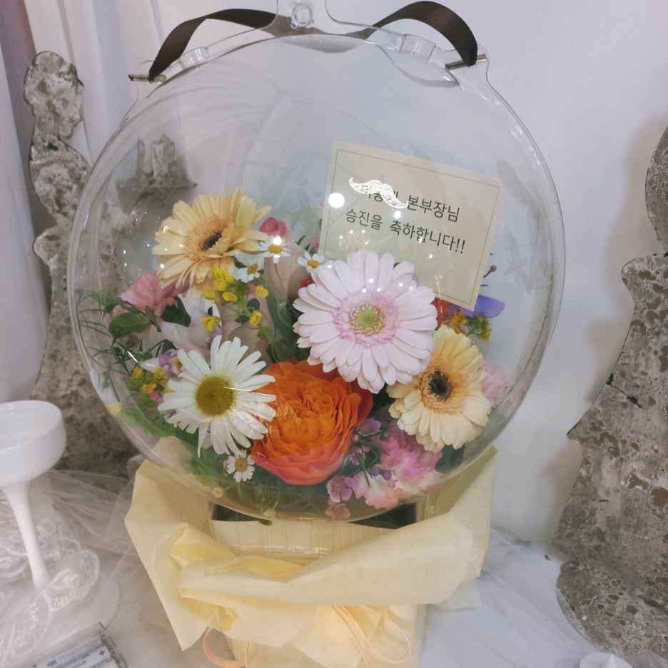 엘라임 이미지