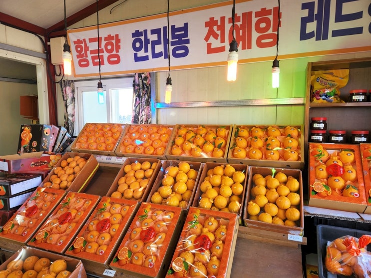 산방농장 이미지