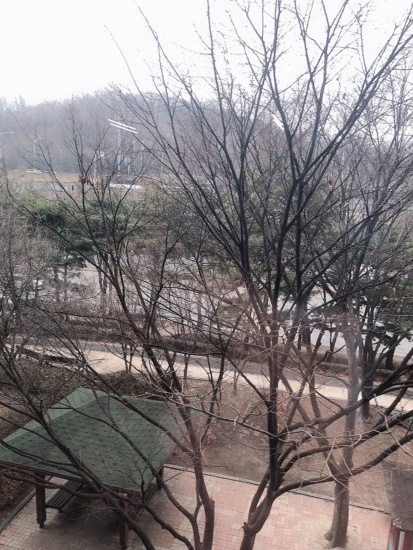 오동인력 이미지