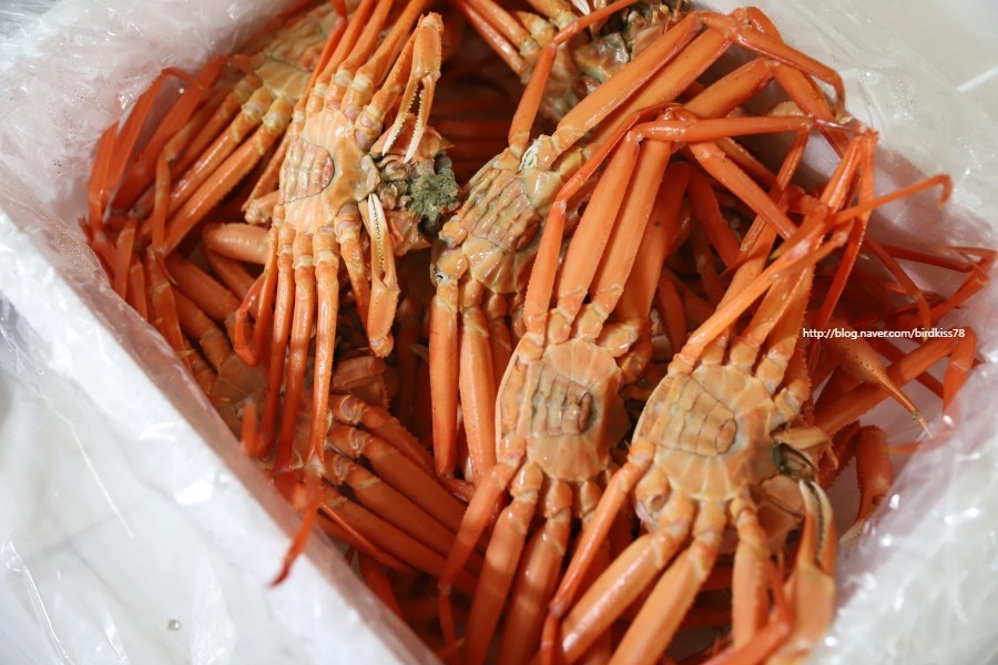 경대수산 이미지