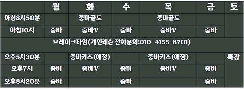 리사올댄스핏 이미지