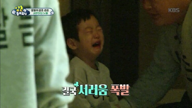 금마차 이미지