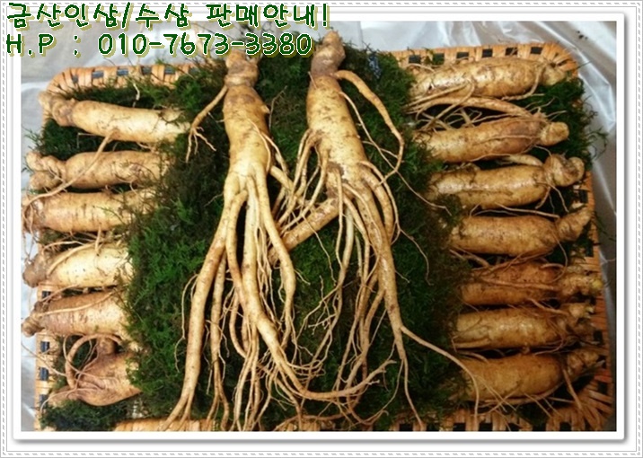 금산인삼직판장 이미지