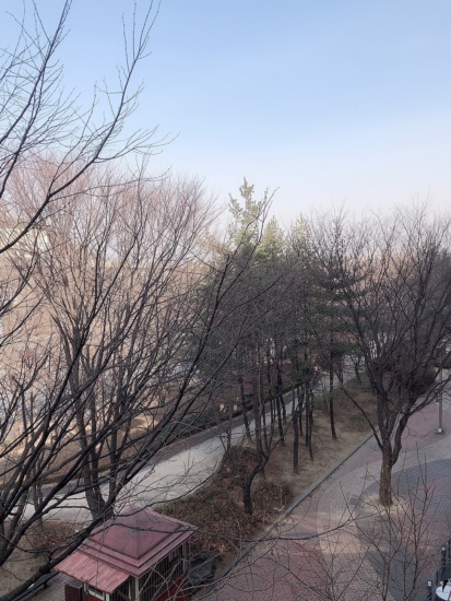 까치인력 이미지
