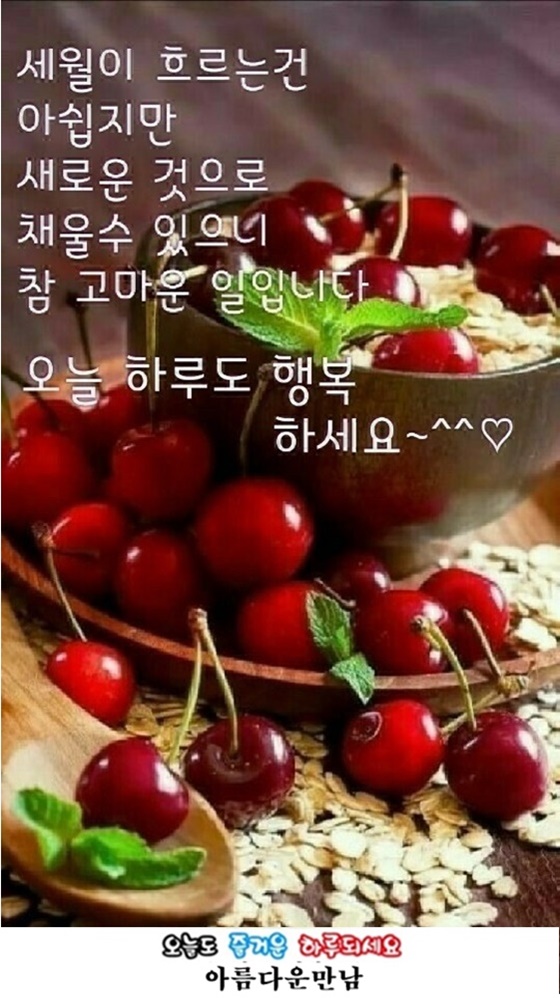 마음의꽃 이미지