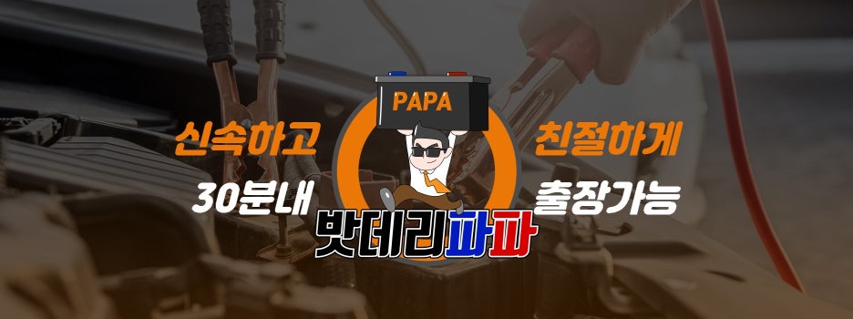 밧데리파파 이미지