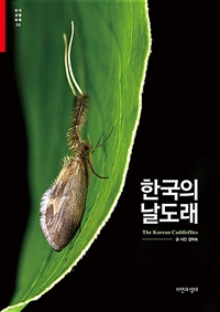 강선생 이미지