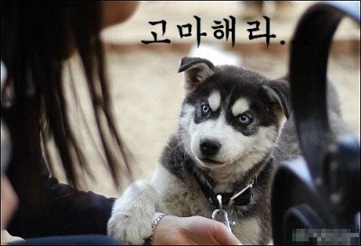 지금 이미지