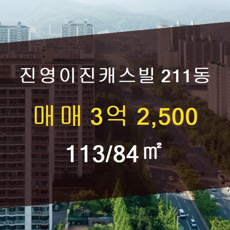 이진캐스빌부동산공인중개사사무소 이미지