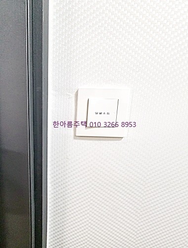 벨리스 이미지