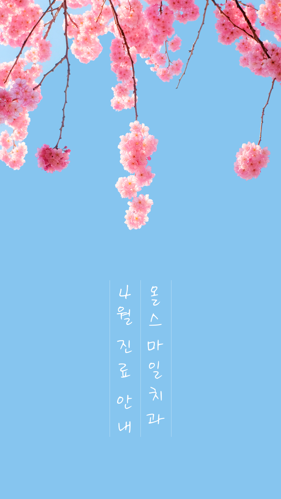 스마일치과 이미지