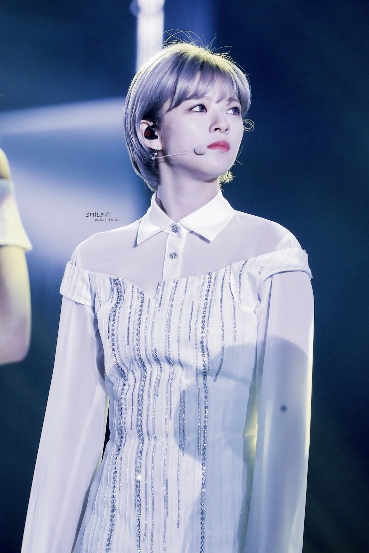 널;닮은꽃 이미지