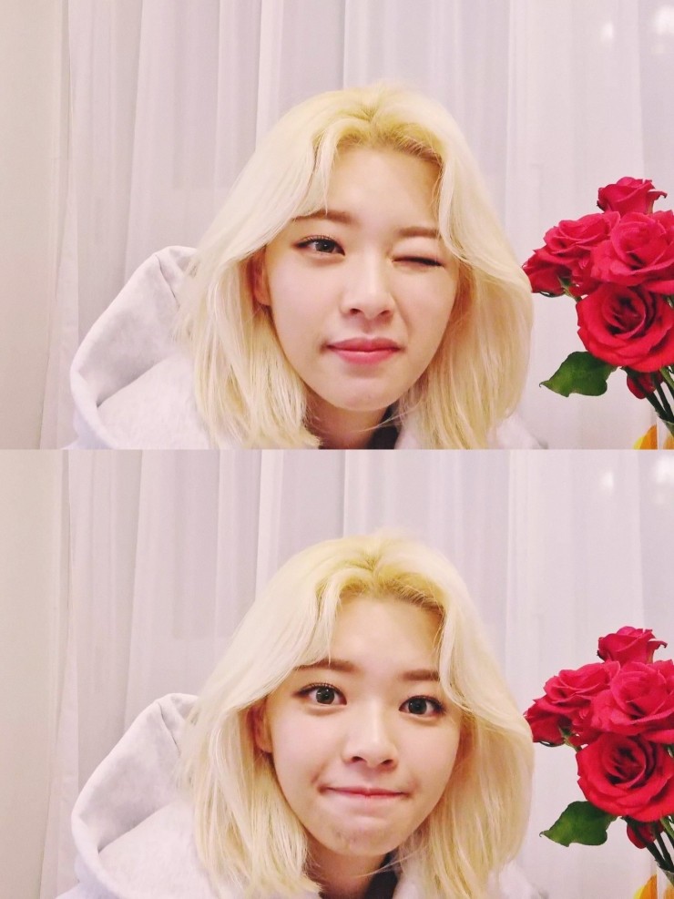 널;닮은꽃 이미지
