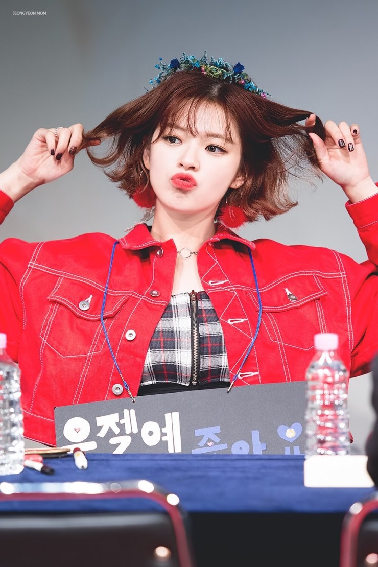 널;닮은꽃 이미지