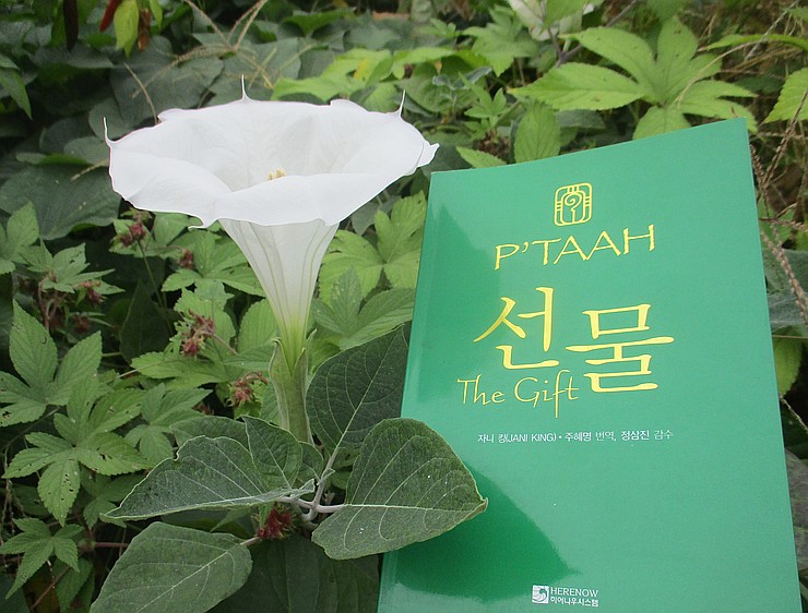 히어나우시스템 이미지