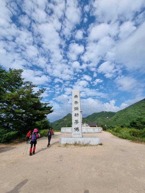 용화만물 이미지