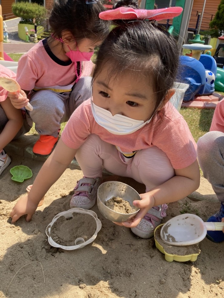 안중유치원 이미지