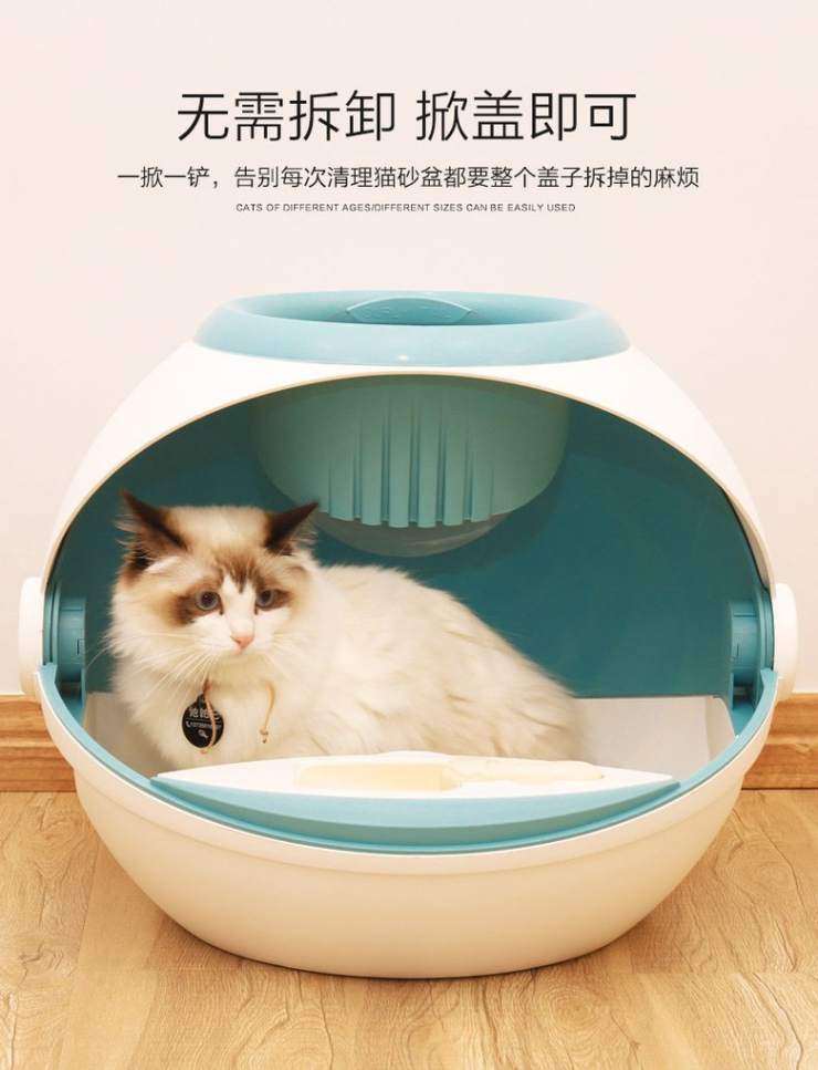 그린케이크 이미지