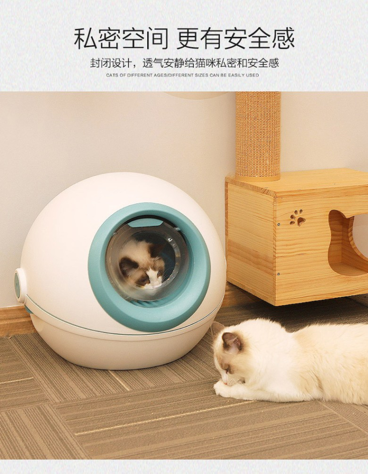 그린케이크 이미지