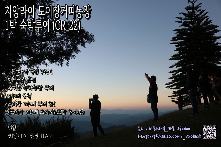 도이창커피농장 이미지