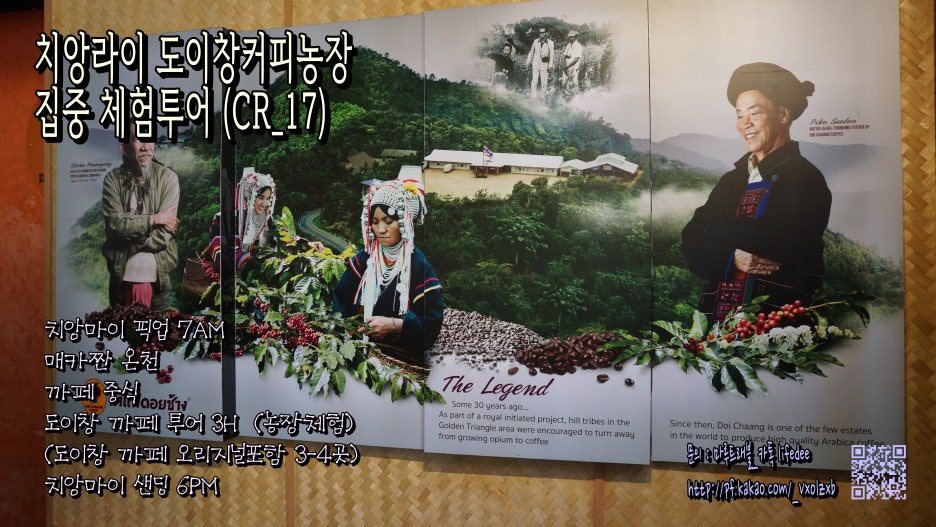 도이창커피농장 이미지