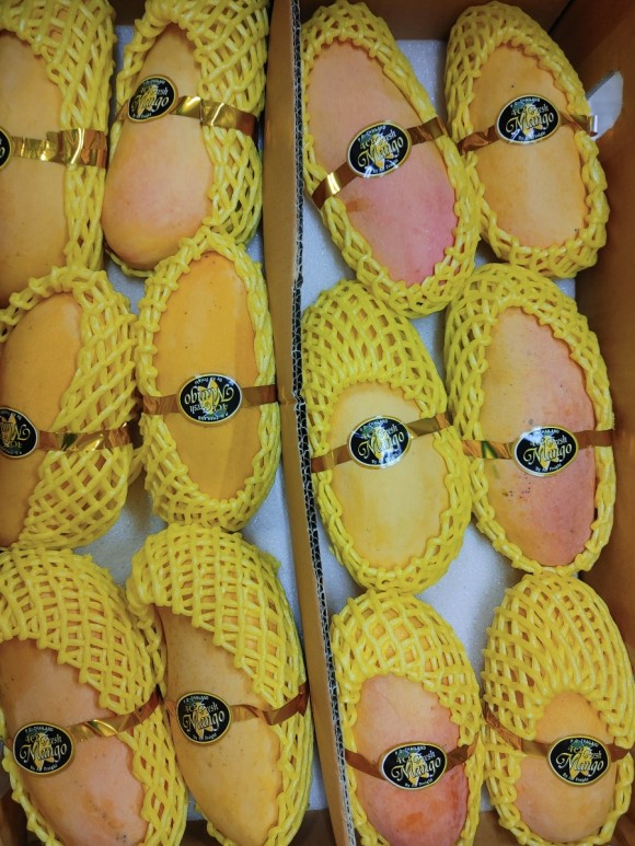 맛있는과일 이미지