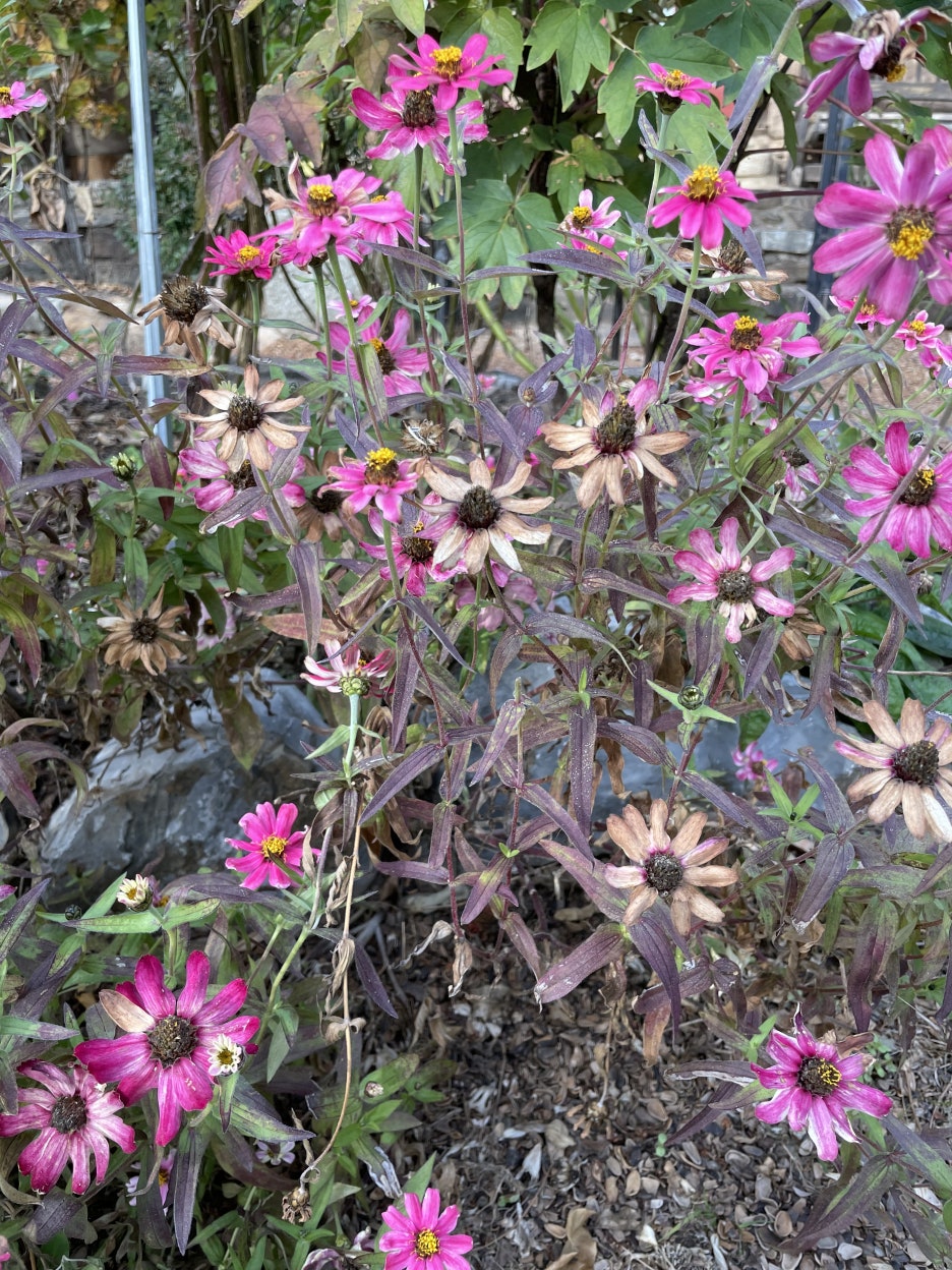(주)자연법칙 이미지