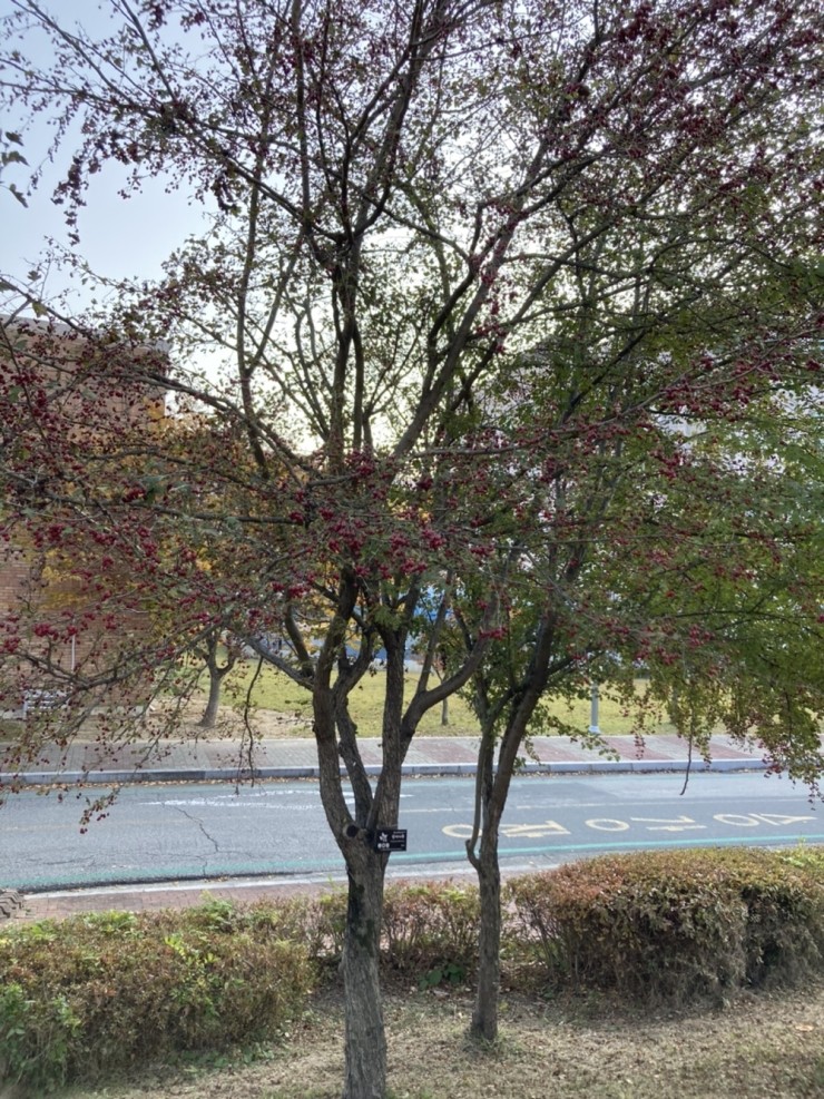 (주)파랑나무 이미지