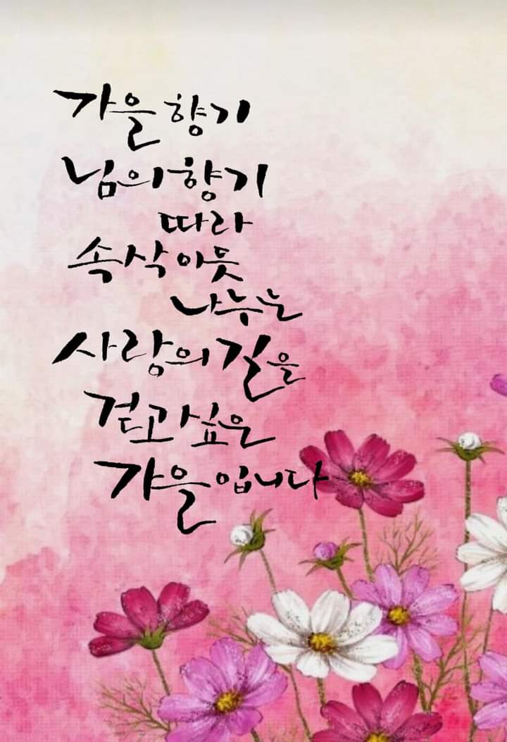 the좋아진다 이미지