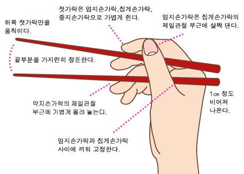 안중유치원 이미지
