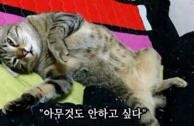 낙동강민물횟집 이미지