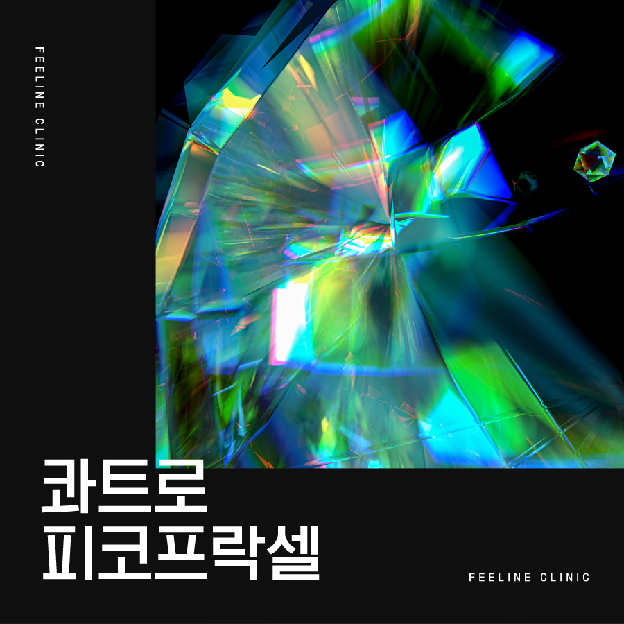 필라인 이미지