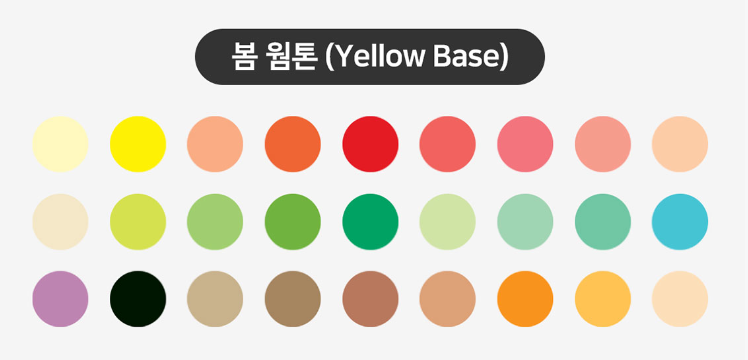 더펄스널컬러 이미지