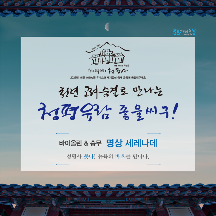 리나바이올린 이미지