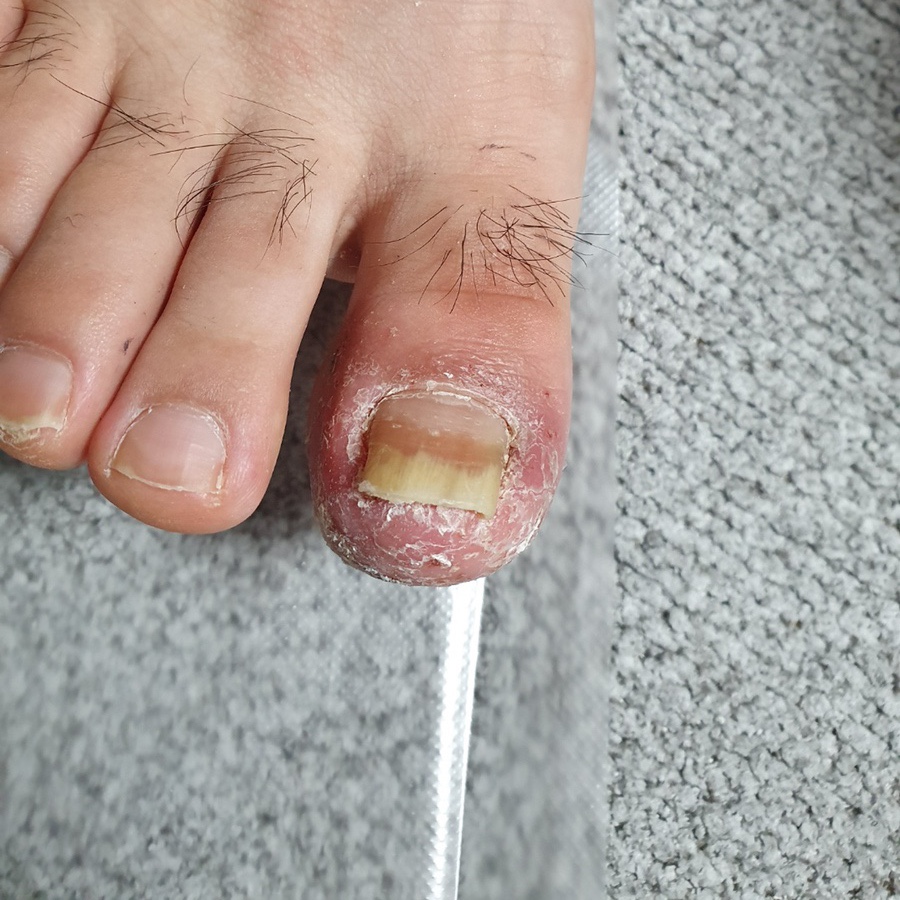 반디인하우스송도 이미지