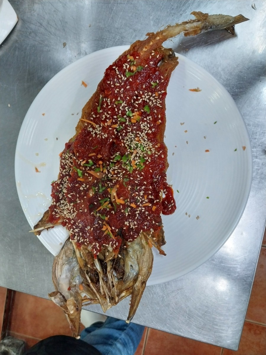 낙지사랑 이미지