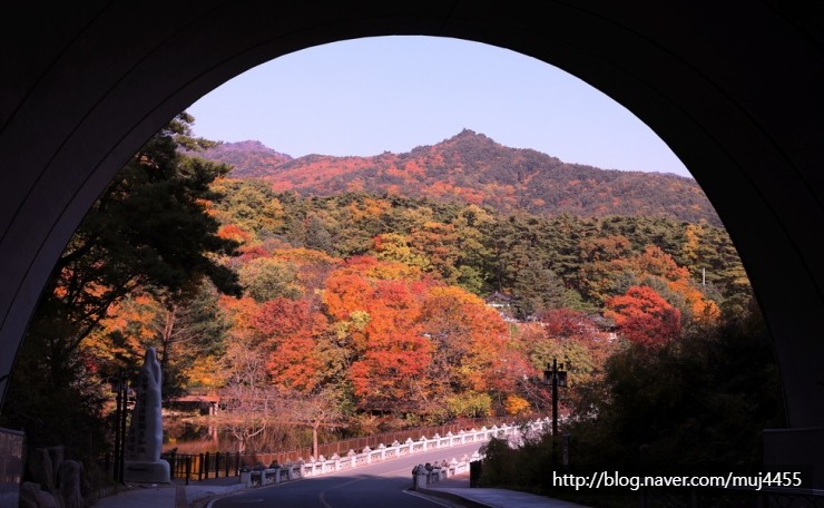 동아사 이미지