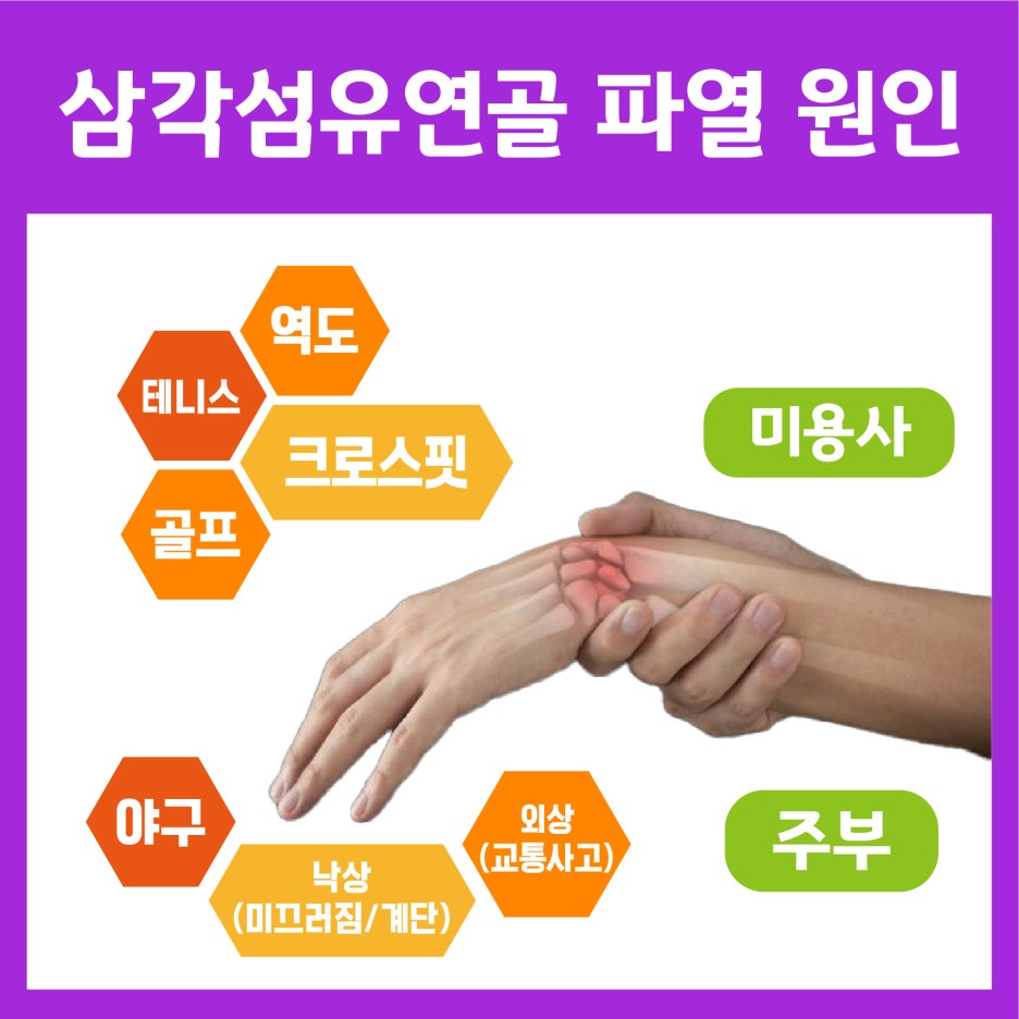 대전섬유 이미지