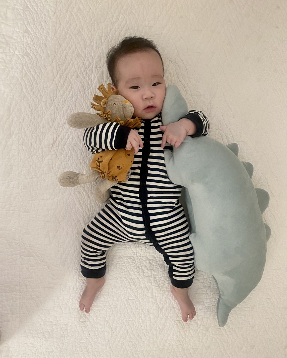 로티악세사리 이미지